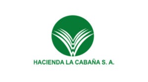 Haciendo la cabaña